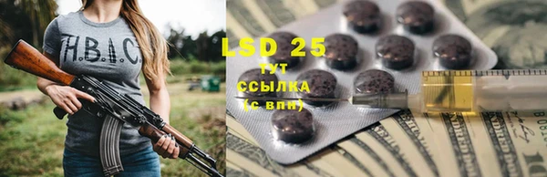 индика Волоколамск