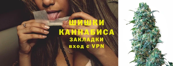 индика Волоколамск
