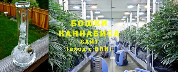 индика Волоколамск