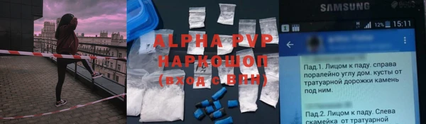 индика Волоколамск