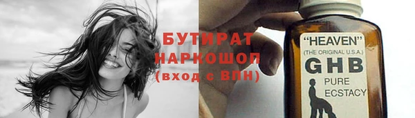 индика Волоколамск