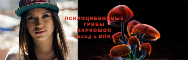 МДПВ Володарск