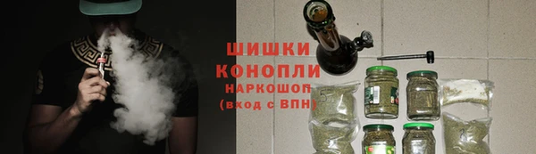 индика Волоколамск
