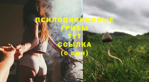 МДПВ Володарск