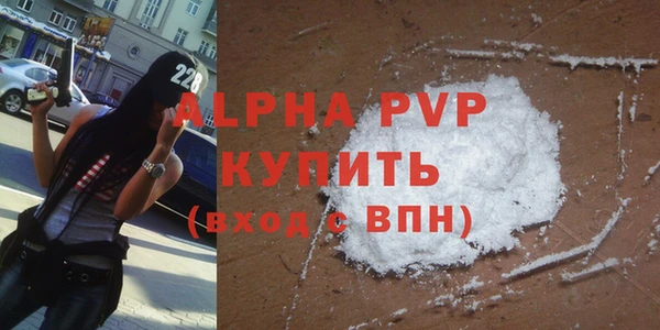 индика Волоколамск