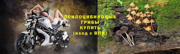 индика Волоколамск