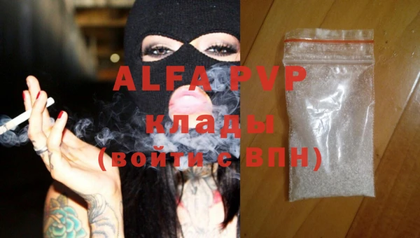 индика Волоколамск