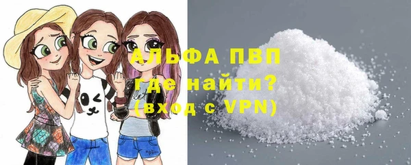 индика Волоколамск