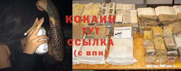 индика Волоколамск