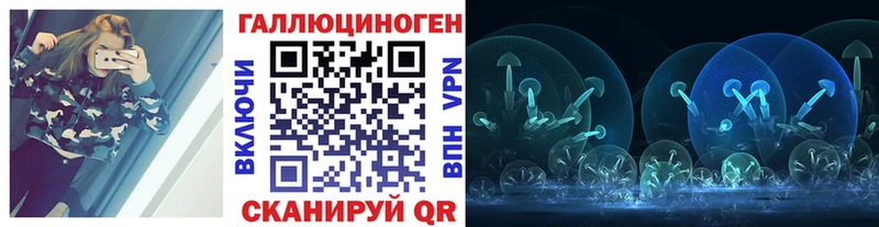 наркошоп  Чёрмоз  Галлюциногенные грибы Psilocybe 